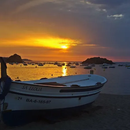 公寓 Lets Holidays Amazing Sea Views In Tossa 滨海托萨